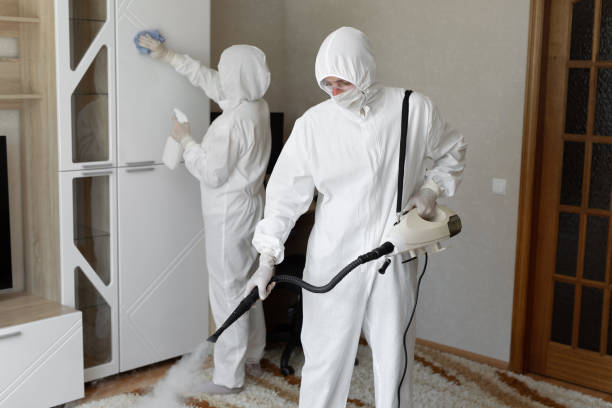 Best Residential Mold Remediation in Jacksonvle, IL