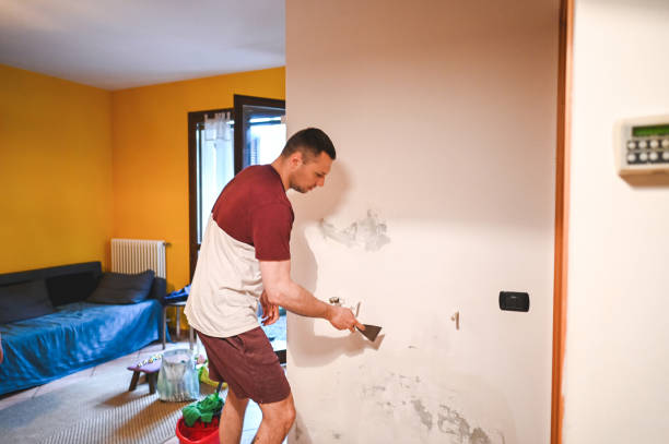Best Post-Remediation Services in Jacksonvle, IL